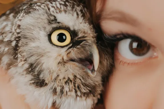 Efbet Casino Assistance